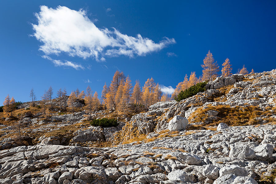 Jesen v Dolini Triglavskih jezer
V Dolini Triglavskih jezer
Ključne besede: triglavska jezera dolina triglavskih jezer