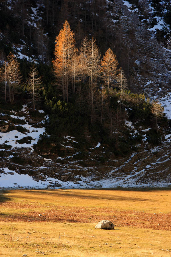 Slovo jeseni
Prvi sneg, in macesni, ki se otrešajo zadnjih zlatih iglic. Planina Jezerca.
Ključne besede: planina jezerca