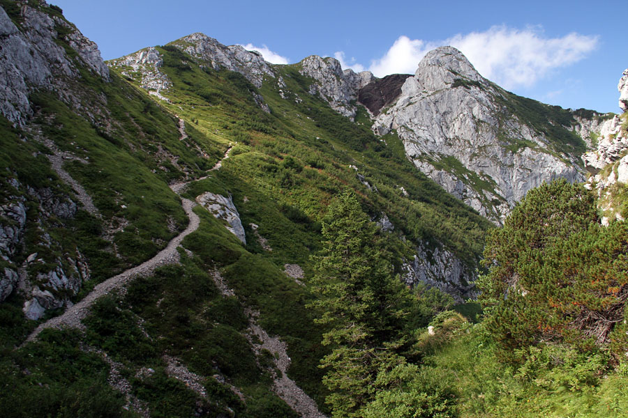 Črna prst I.
Na prvem sedlu nad planino za Črno goro.
Ključne besede: črna prst home planina za črno goro