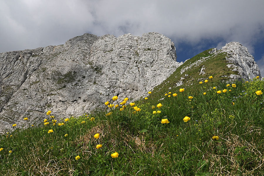 Tosc
Pogled proti Toscu s sedla med Velikim Draškim vrhom in Toscem.
Ključne besede: tosc veliki draški vrh