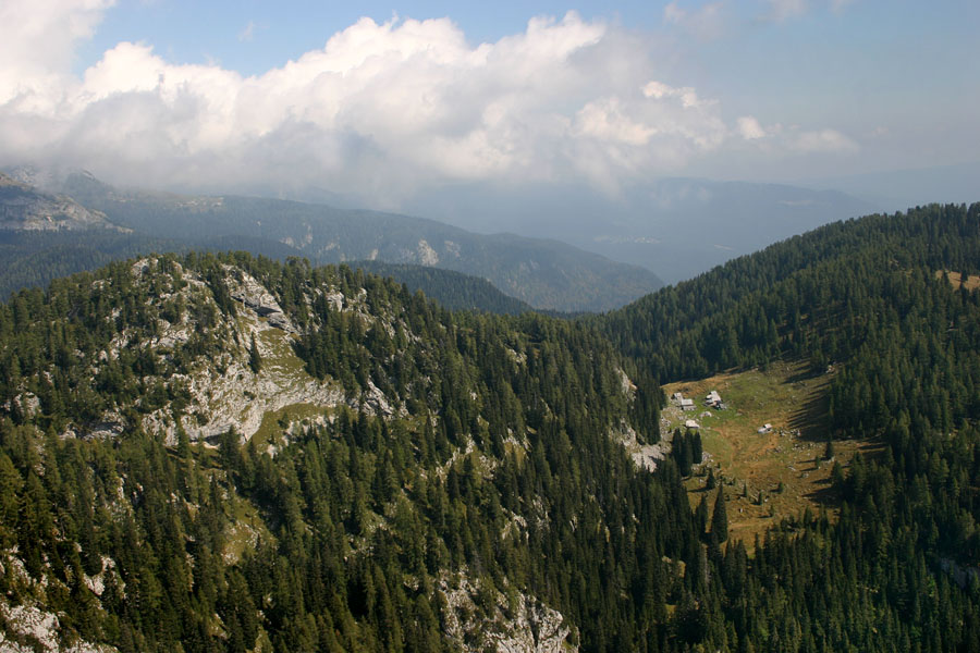 Nad planino Viševnik
Malo drugačen pogled na planino Viševnik. Vrh na katerem je nastala fotka pa se imenuje Vrtec. Levi vrh nad planino je Griva.
Ključne besede: planina viševnik vrtec griva