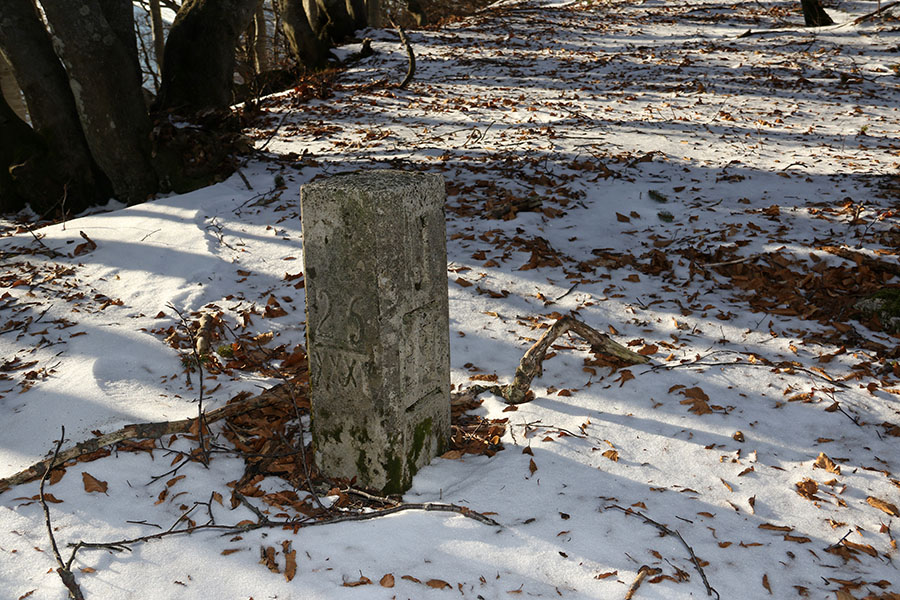 Mejni kamen
Mejni kamen (ostanek Rapalske meje) nekje med Šancami in Vrhom Bače.
Ključne besede: šance vrh bače