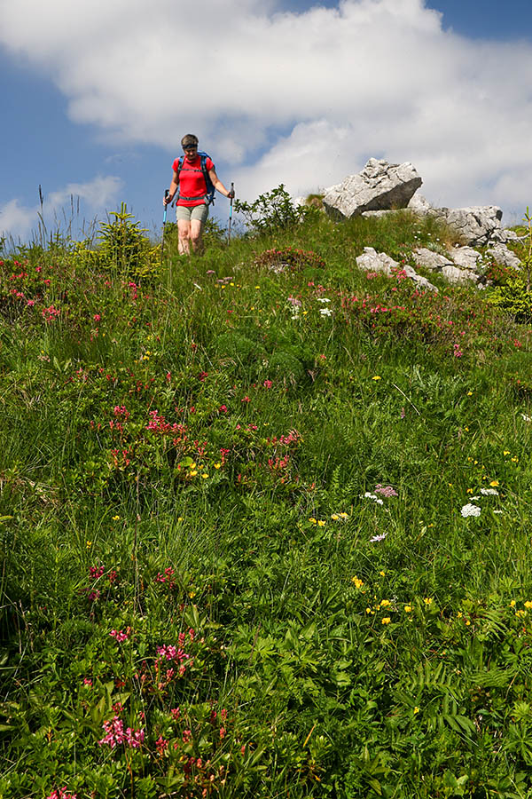 Med rožicami
Vzhodna stran Črne gore je vsa v cvetju.
Ključne besede: črna gora prst