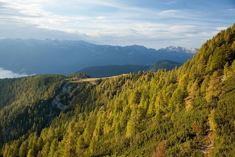 Planina Krstenica
Zapuščava Krstenico po poti pod Krsteniškim Stogom.
Ključne besede: planina krstenica jezerski stog