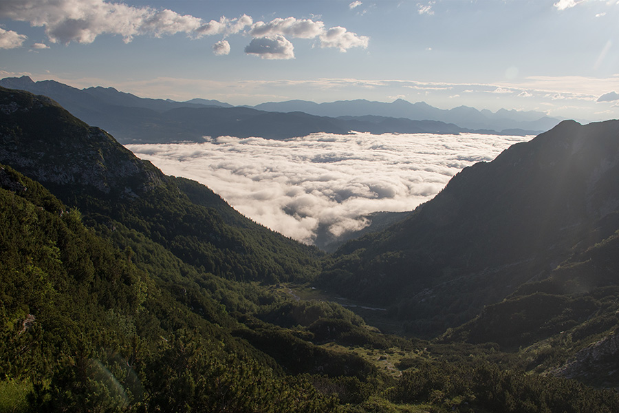 Planina Suha
Planina Suha zjutraj z meglo nad Bohinjsko kotlino.
Ključne besede: planina suha