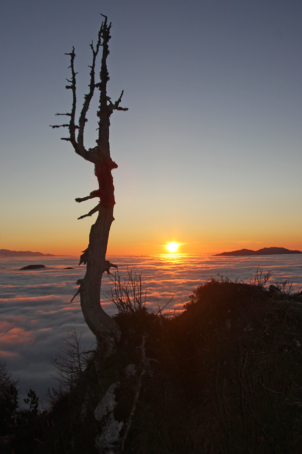 Jutro na Krstenici II.
Sončni vzhod z viharnikom na planini Krstenica.
Ključne besede: planina krstenica sončni vzhod