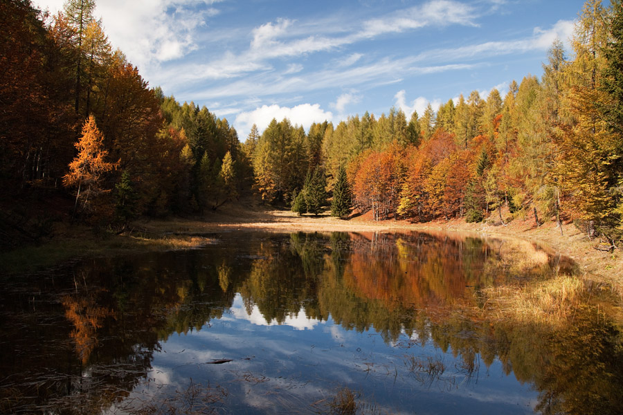 Jesen ob jezeru
Jesen ob jezeru nad kočo Grego.
Ključne besede: jezerce laghetto koča grego