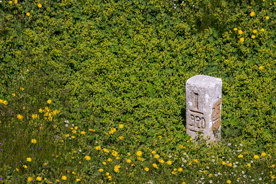 Mejnik v cvetju
Mejnik iz obdobja Rapalske meje pod Matajurskim vrhom.
Ključne besede: matajurski vrh