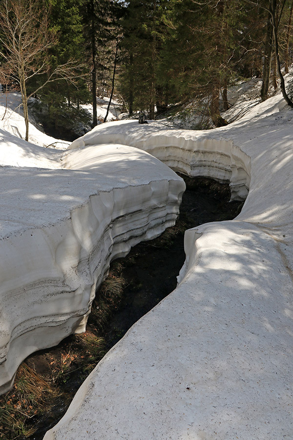Potok
Potok proti planini za Črno goro je skozi sneg naredil manjši kanjon.
Ključne besede: planina za črno goro