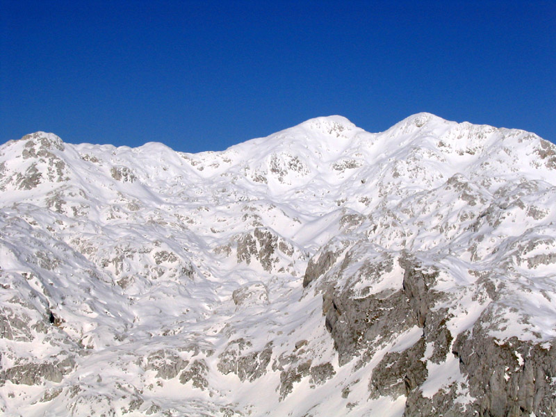 Z Debelega vrha
Zimski razgledi proti Hribaricam.
Keywords: debeli vrh hribarice