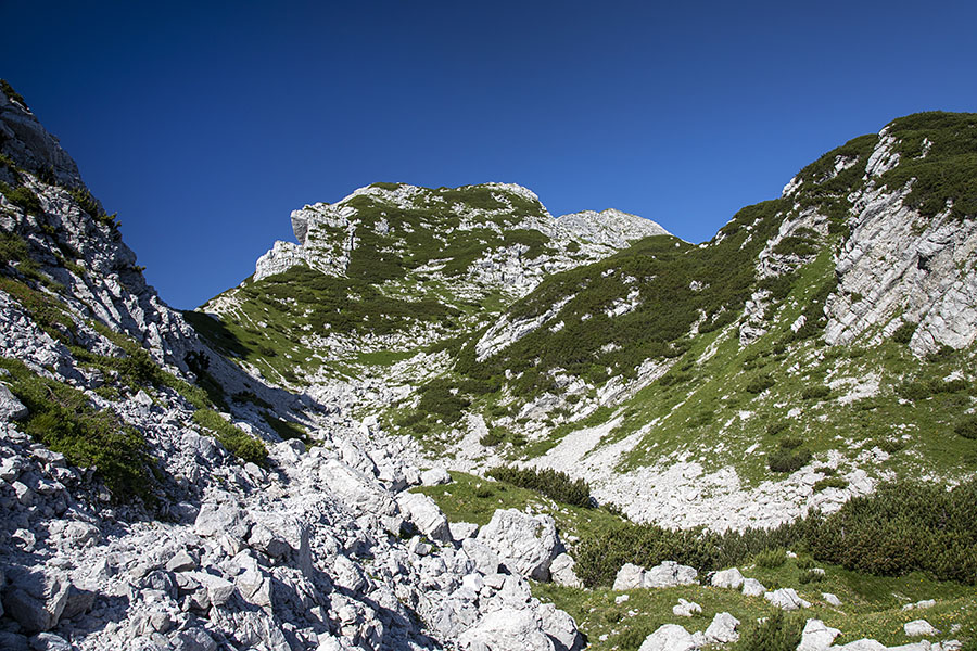 Proti gori Vogel
Med Šijo in Voglom.
Ključne besede: vogel