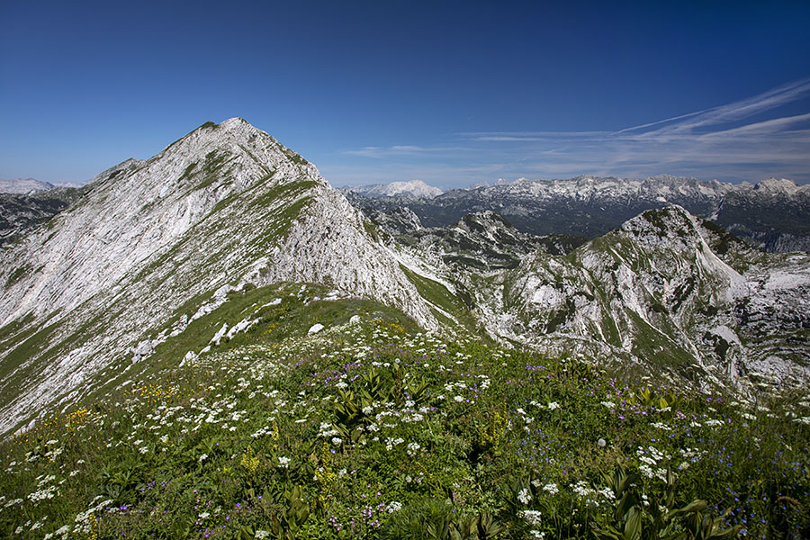 Z Rušnatega vrha
Nadaljevanje proti Koti 1923, Mejemu vrhu (Meja) in Vrhu nad Škrbino.
Ključne besede: rušnati vrh kota 1923 meji meja nad škrbino
