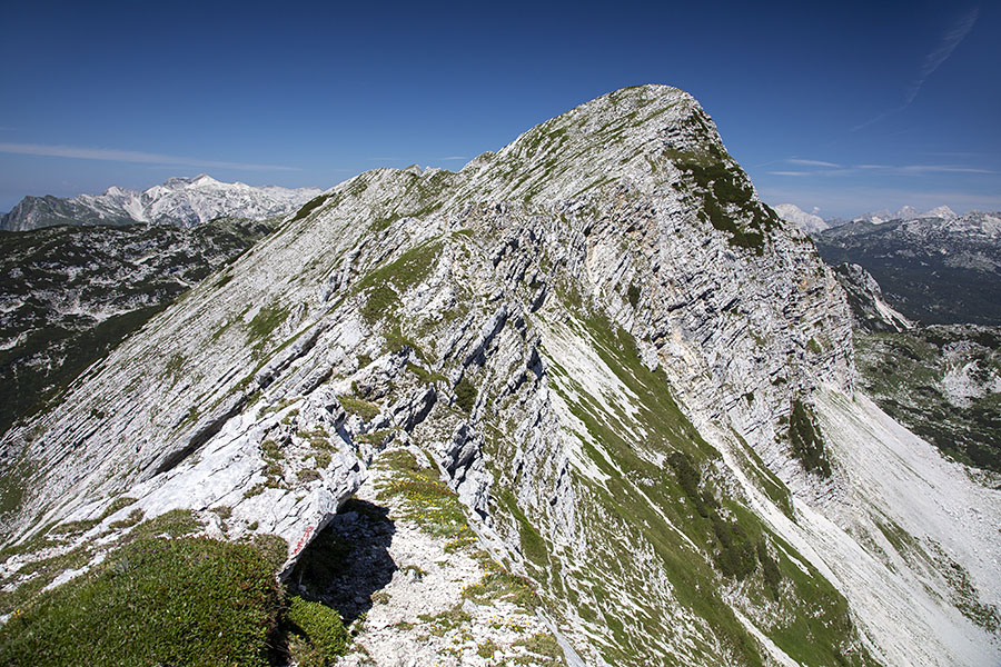 Vrh nad Škrbino
Vrh nad Škrbino z Mejega vrha.
Ključne besede: meja meji vrh nad škrbino