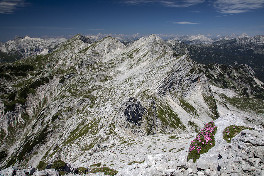 Z Vrha nad Škrbino
Z Vrha nad Škrbino. Zadaj je greben Vrh Konte, Podrta gora in Tolminski Kuk.
Ključne besede: vrh nad škrbino konte podrta gora tolminski kuk