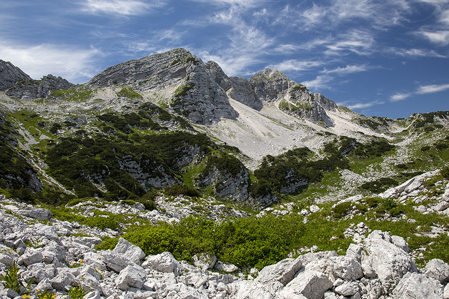 Podrta gora
Podrta gora nekje nad planino Za Migovcem.
Ključne besede: podrta gora planina za migovcem
