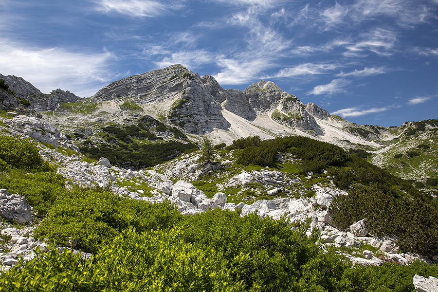 Podrta gora
Fotogenična Podrta gora nad planino Za Migovcem.
Ključne besede: podrta gora sedlo škrbina