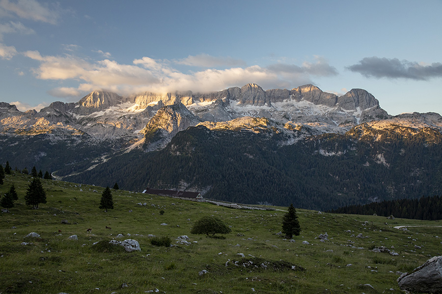 Jutro na planini Pecol
Jutro na planini Pecol.
Ključne besede: planina pecol kaninske gore