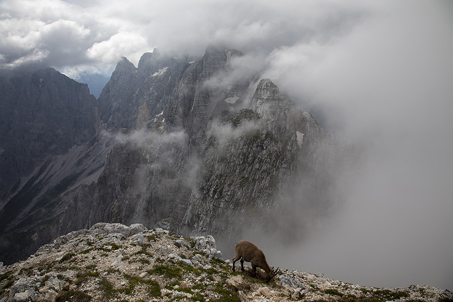 S Špika Hude police
Proti Špiku nad Špranjo in Špiku nad Nosom.
Ključne besede: špik hude police nad špranjo nosom
