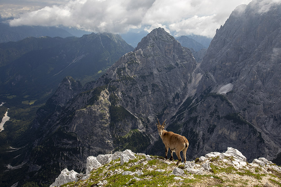 S Špika Hude police
Pogled na Nabojs.
Ključne besede: špik hude police nabojs