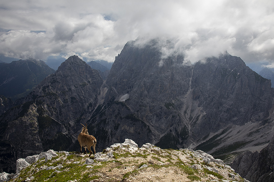 Nabojs in Viš
S Špika Hude police. Nabojs, Viš in Koštrunove špice. 
Ključne besede: špik hude police nabojs koštrunove špice