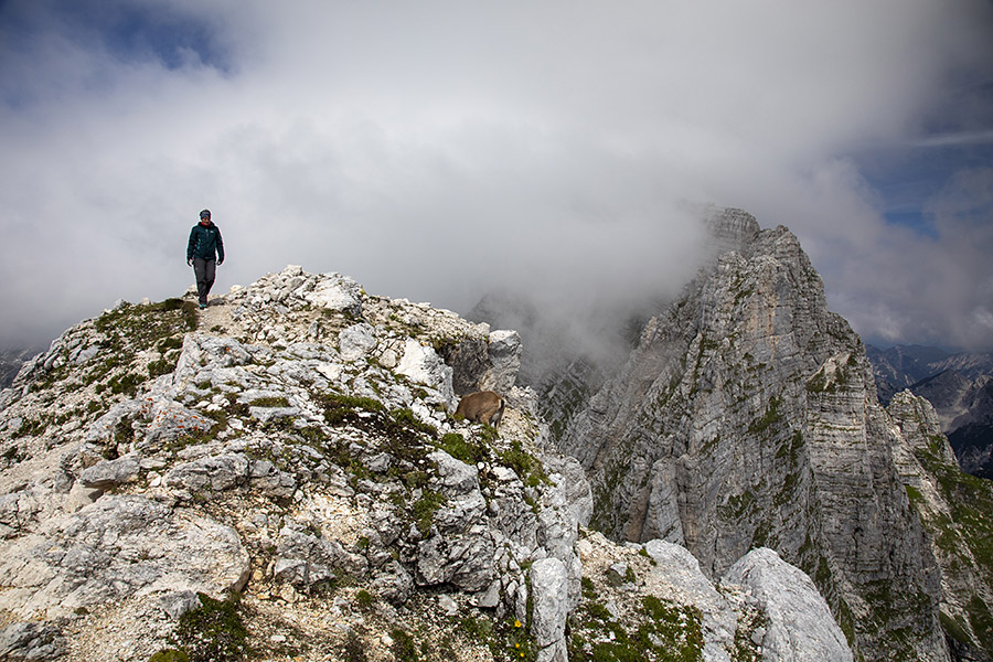 Na Špiku Hude police
Na Špiku Hude police . Zadaj Špik nad Cijanerico, še bolj zadaj v oblaku Montaž.
Ključne besede: špik hude police nad cijanerico montaž