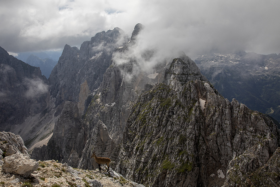 Špika v meglicah
Špik nad Špranjo in Špik nad Nosom v borbi z meglicami. S Špika Hude police.
Ključne besede: špik nad špranjo nosom