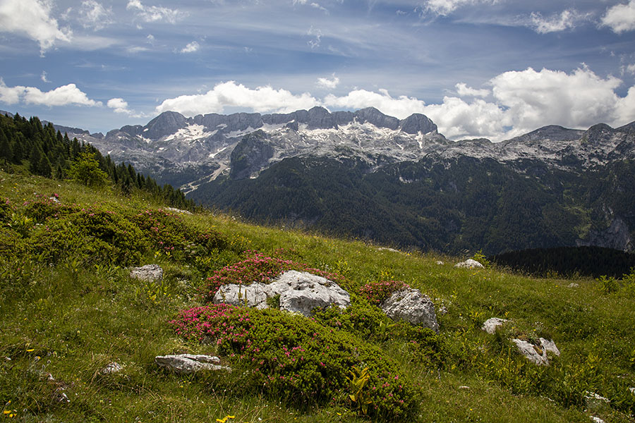 Na planini Pecol
>Na planini Pecol. Zadaj Kaninske gore.
Ključne besede: planina pecol kaninske gore