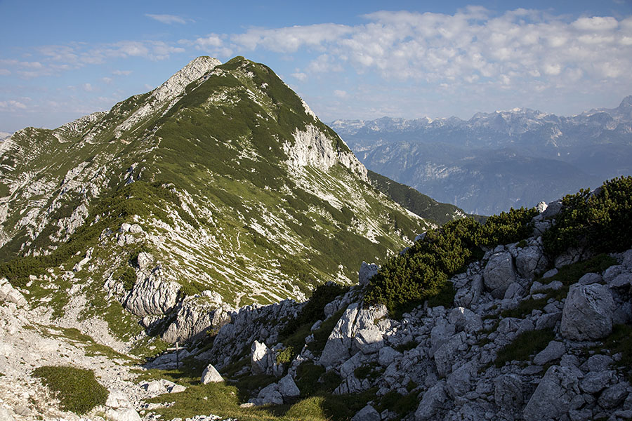 Raskovec s križem
Spodaj viden križ med Matajurskim vrhom in Velikim Raskovcem.
Ključne besede: veliki raskovec