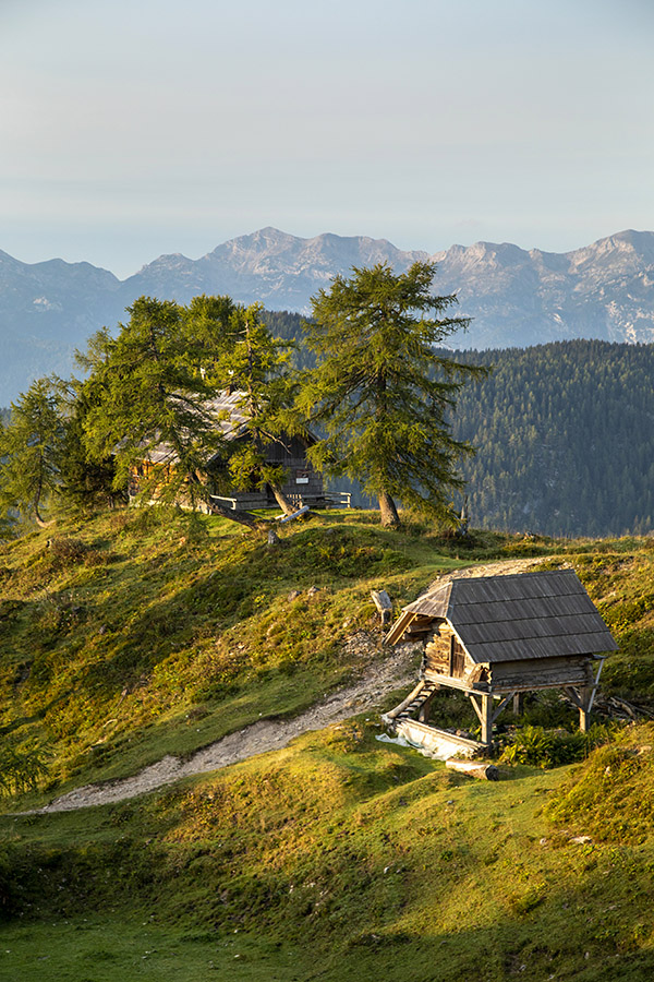 Planina Krstenica.
Planina Krstenica.
Ključne besede: planina krstenica