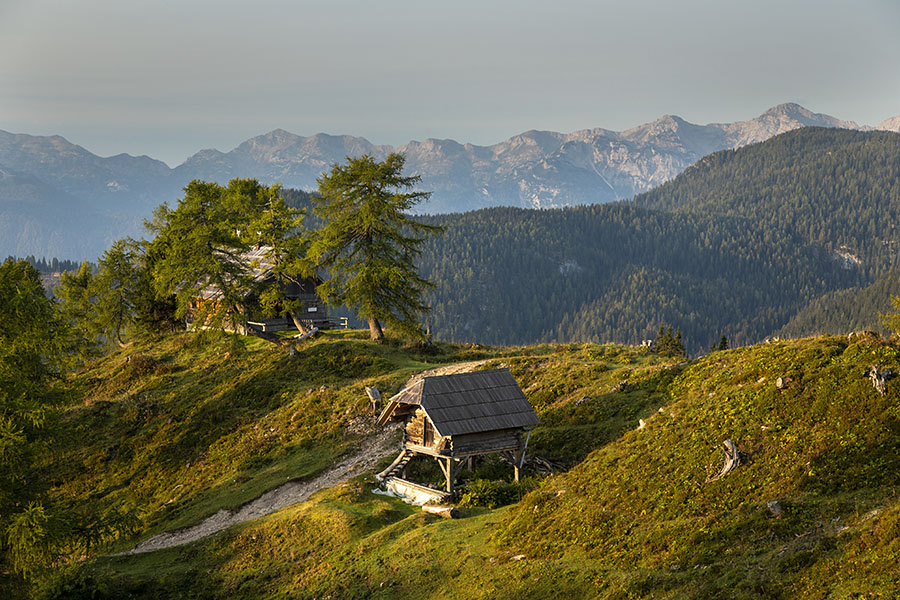 Planina Krstenica
Planina Krstenica.
Ključne besede: planina krstenica