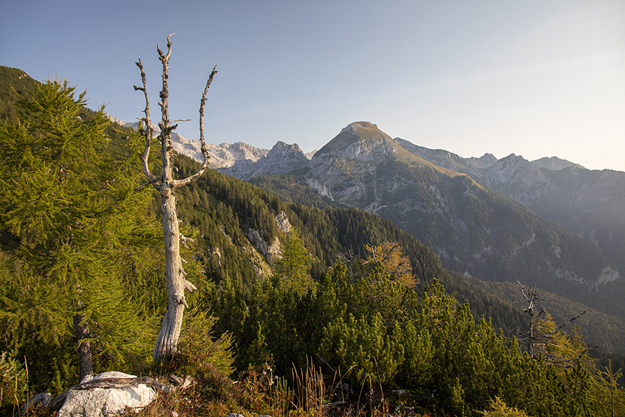Planina Krstenica
Planina Krstenica. Zadaj se dviga Tosc.
Ključne besede: lanina krstenica
