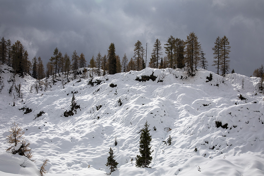 Planina Ovčarija
Na Ovčariji vendarle nekaj sonca.
Ključne besede: planina ovčarija