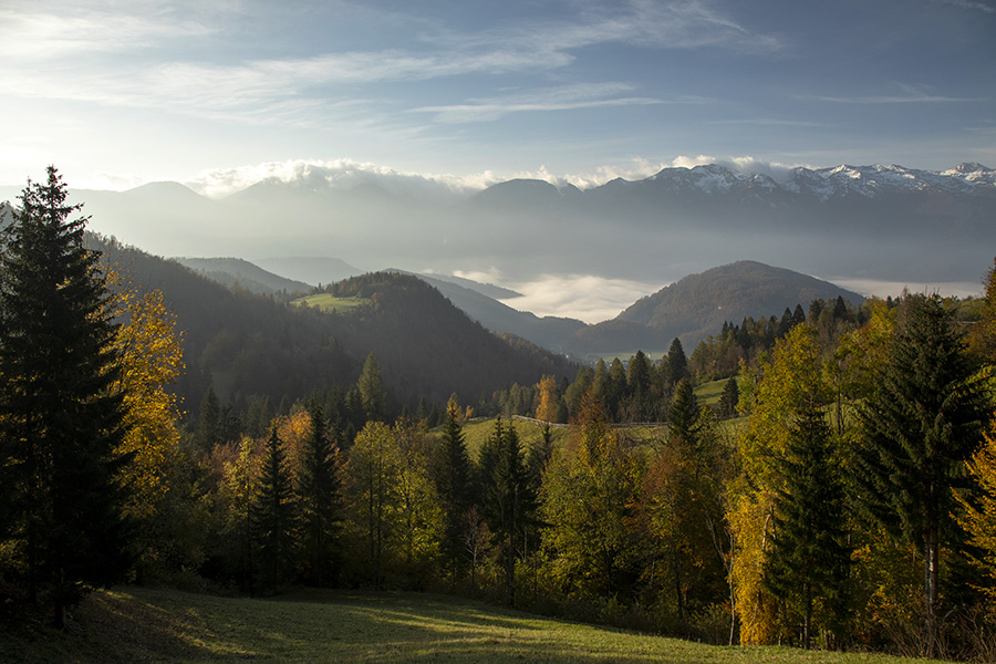 Jutro na Podjelju
Jutro na Podjelju.
Ključne besede: bohinj podjelje