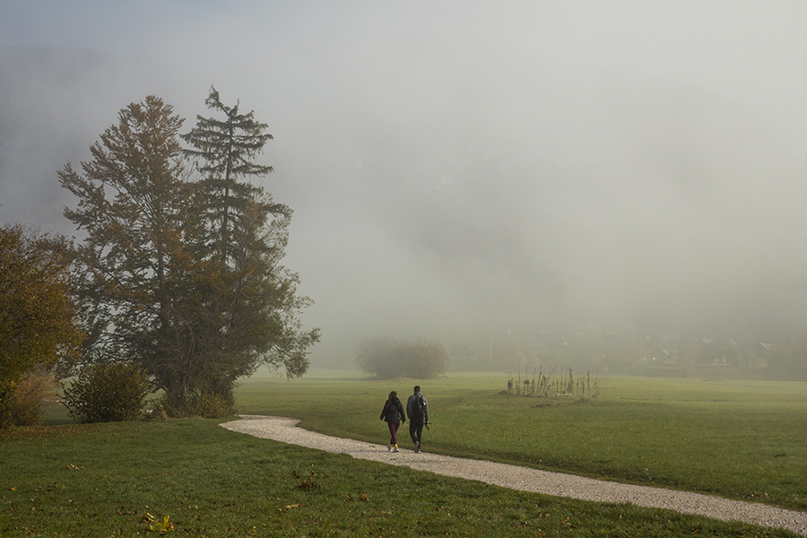 Sprehod
Sprehod ob jezeru.
Ključne besede: bohinj bohinjsko jezero