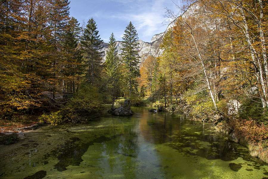 Savica v Ukancu
Z mostu čez Savico.
Ključne besede: bohinj ukanc savica
