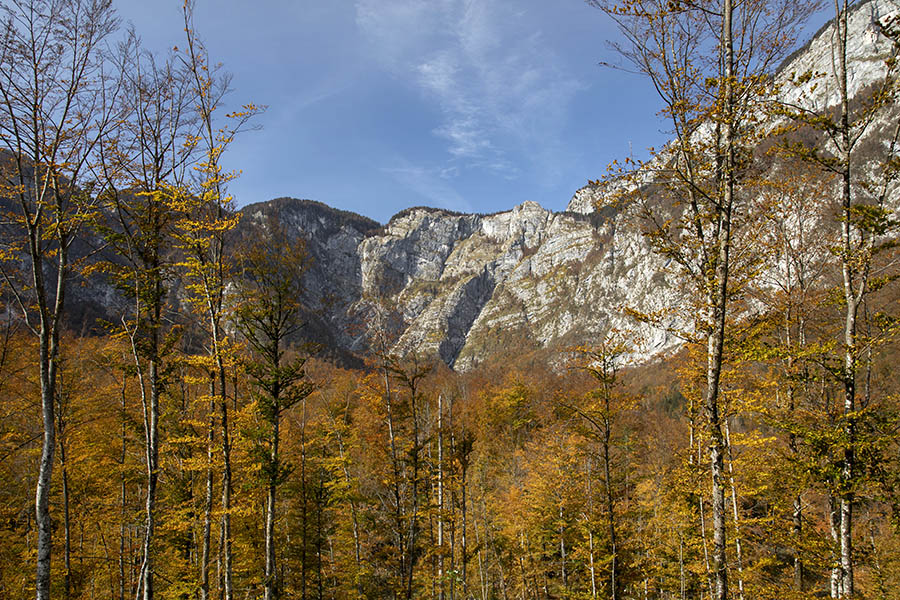 V Ukancu
V Ukancu.
Ključne besede: bohinj ukanc