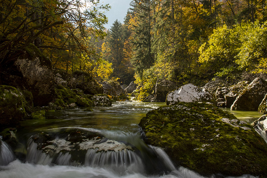 V strugi Savice
V strugi Savice.
Ključne besede: bohinj savica struga