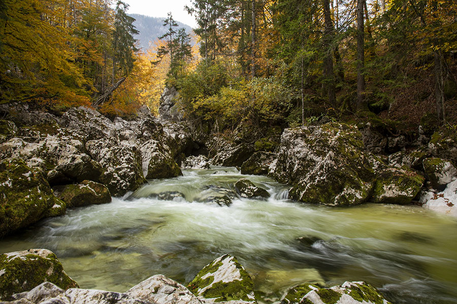 V strugi Savice
V strugi Savice.
Ključne besede: bohinj savica struga