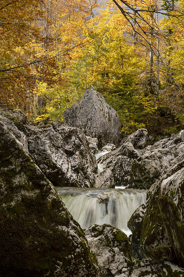 V strugi Savice
V strugi Savice.
Ključne besede: bohinj savica struga