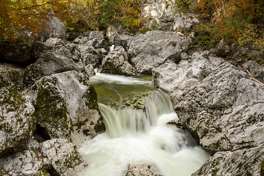 V strugi Savice
V strugi Savice.
Ključne besede: bohinj savica struga