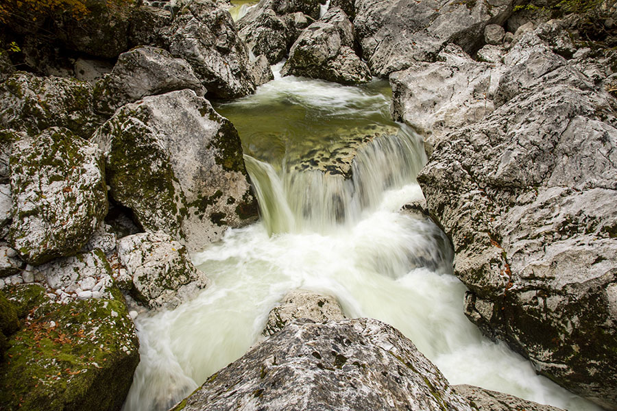 V strugi Savice
V strugi Savice.
Ključne besede: bohinj savica struga