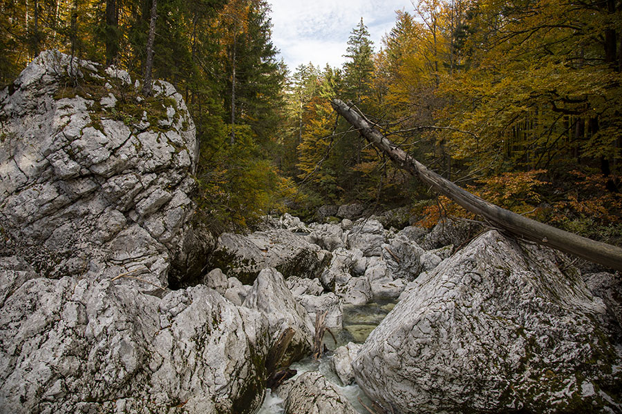 V strugi Savice
V strugi Savice.
Ključne besede: bohinj savica struga