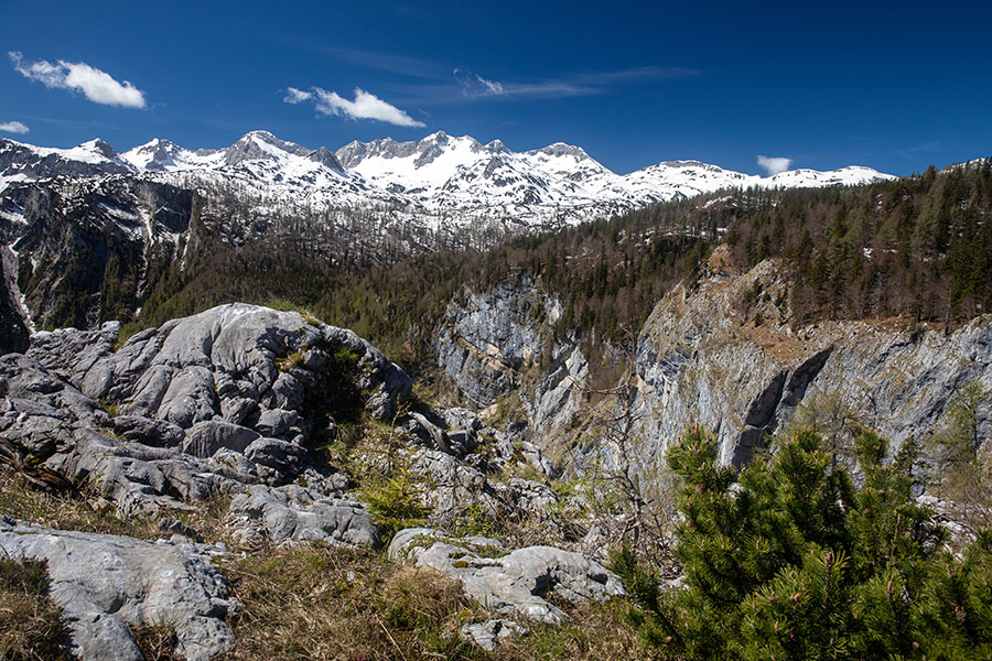Na Orliču
Na Orliču. Pogled na Spodnje Bohinjske gore.
Ključne besede: komarča črno jezero orlič rigelj spodnje bohinjske gore