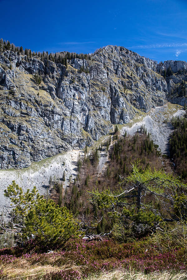 Rigelj
Rigelj z Orliča.
Ključne besede: komarča črno jezero orlič rigelj