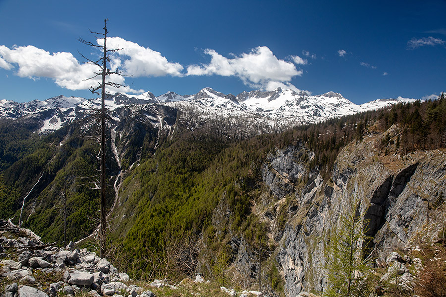 Pod Orličem
Malo pod vrhom Orliča nad Črnim jezerom se pokažejo Spodnje bohinjske gore. Desno je prepadna stena Komarče, nad katero vodi pot proti Komni.
Ključne besede: komarča črno jezero orlič spodnje bohinjske gore