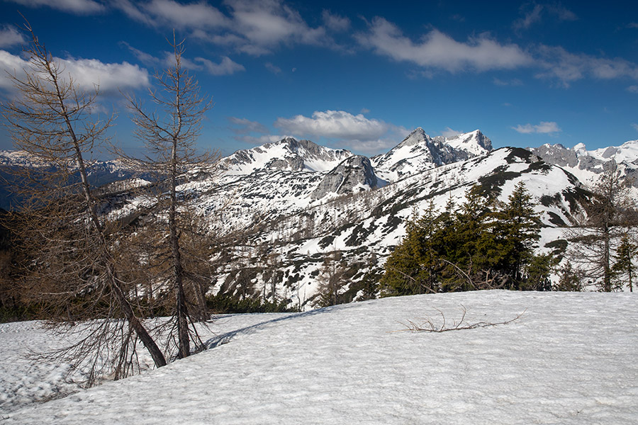 Klasika z Mrežc
Pogled proti Viševniku in Malemu Draškemu vrhu. S poti na Mrežce.
Ključne besede: lipanska planina mrežce viševnik mali draški vrh