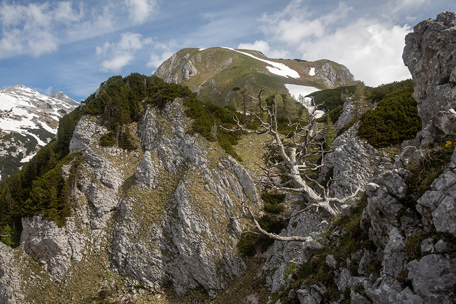 Ogradi
Južna stran Ogradov.
Ključne besede: ogradi