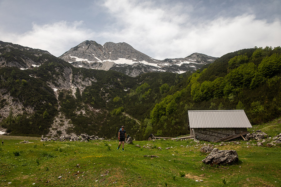 Planina Poljana
Na planini Poljana.
Ključne besede: planina poljana veliki raskovec