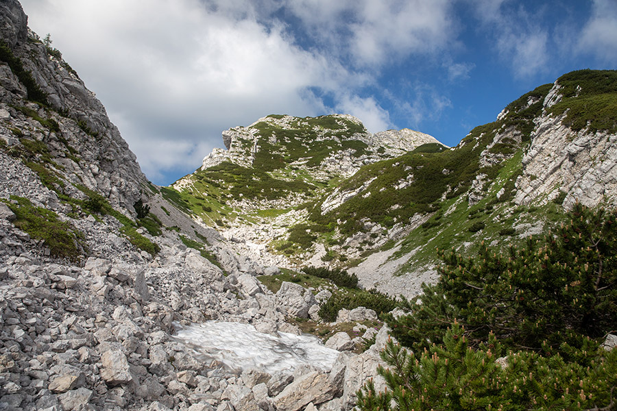 Proti Voglu
Proti Voglu.
Ključne besede: vogel