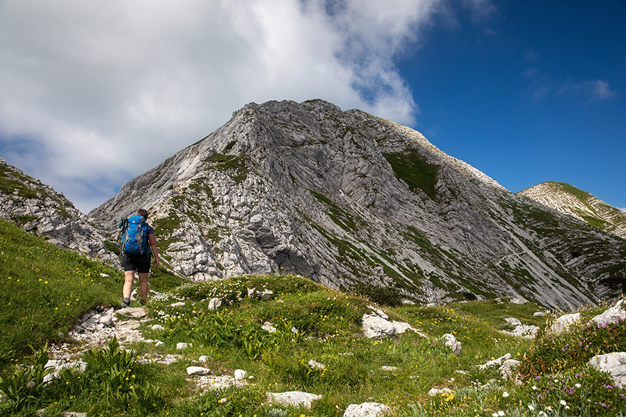 Na Vogel
Proti Voglu.
Ključne besede: vogel